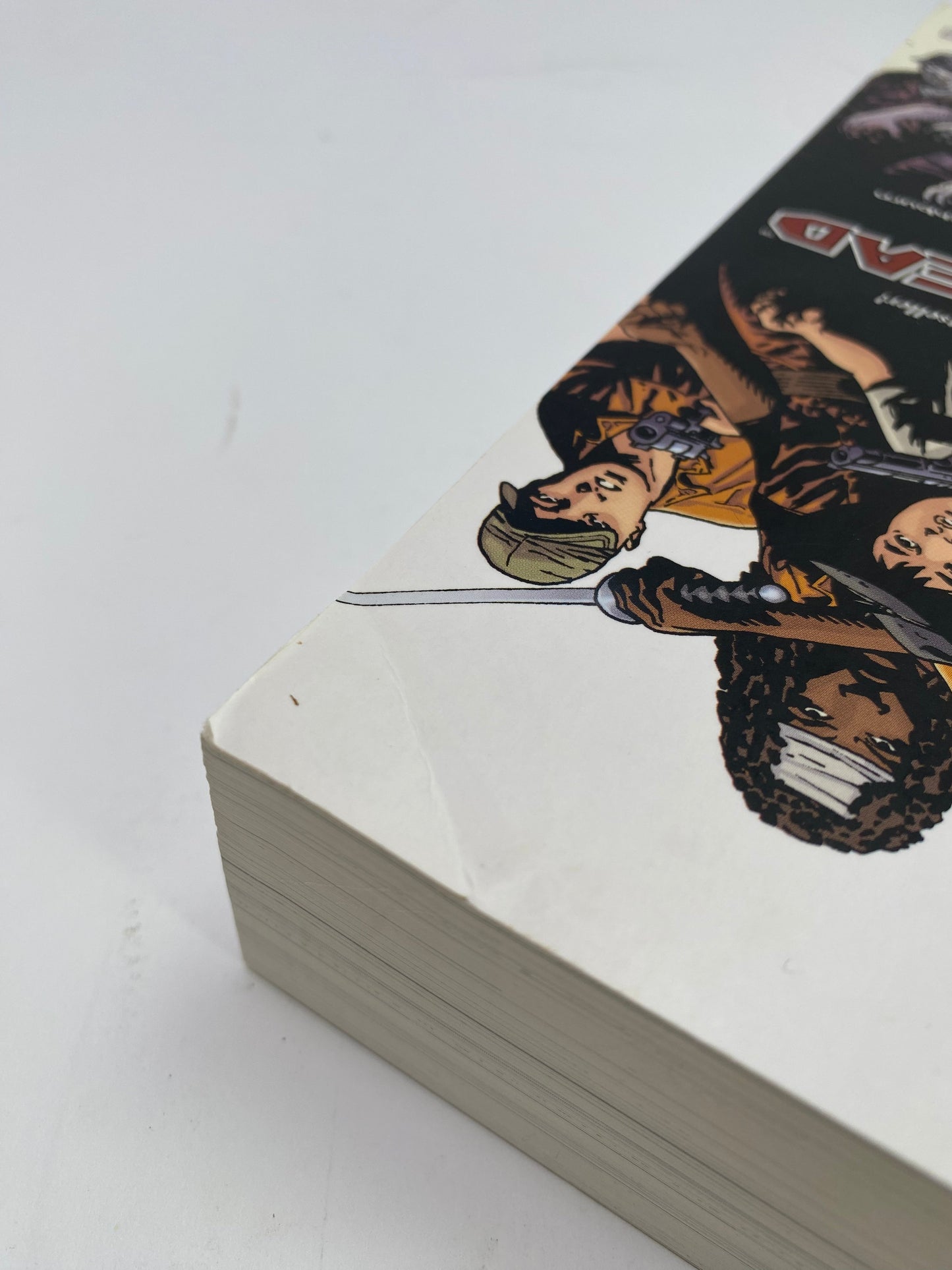 The Walking Dead Compendium Volume 1 - Grafinė Novelė TreasureHunt