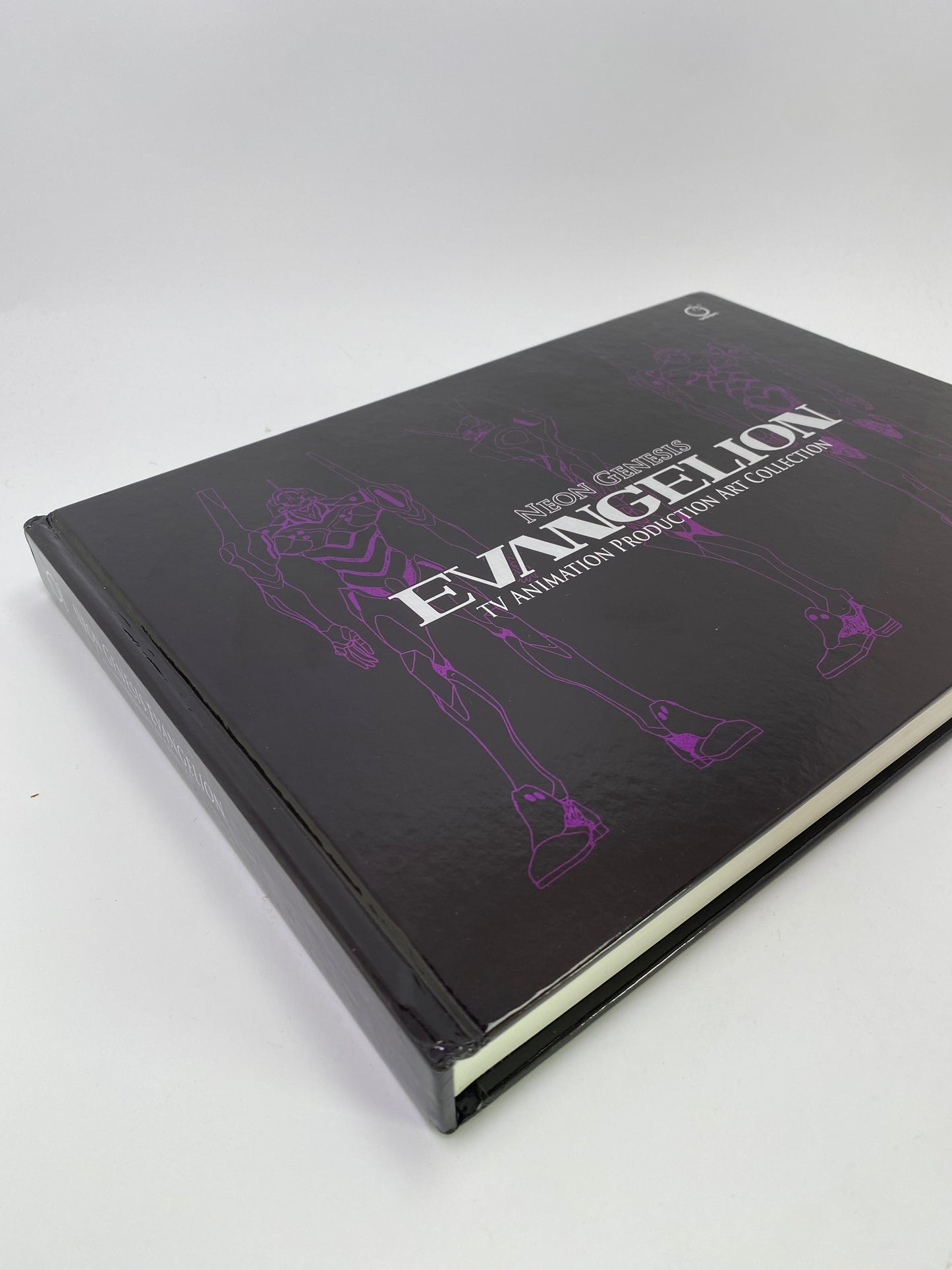 Neon Genesis Evangelion: TV Animation Production Art Collection - Meno knyga