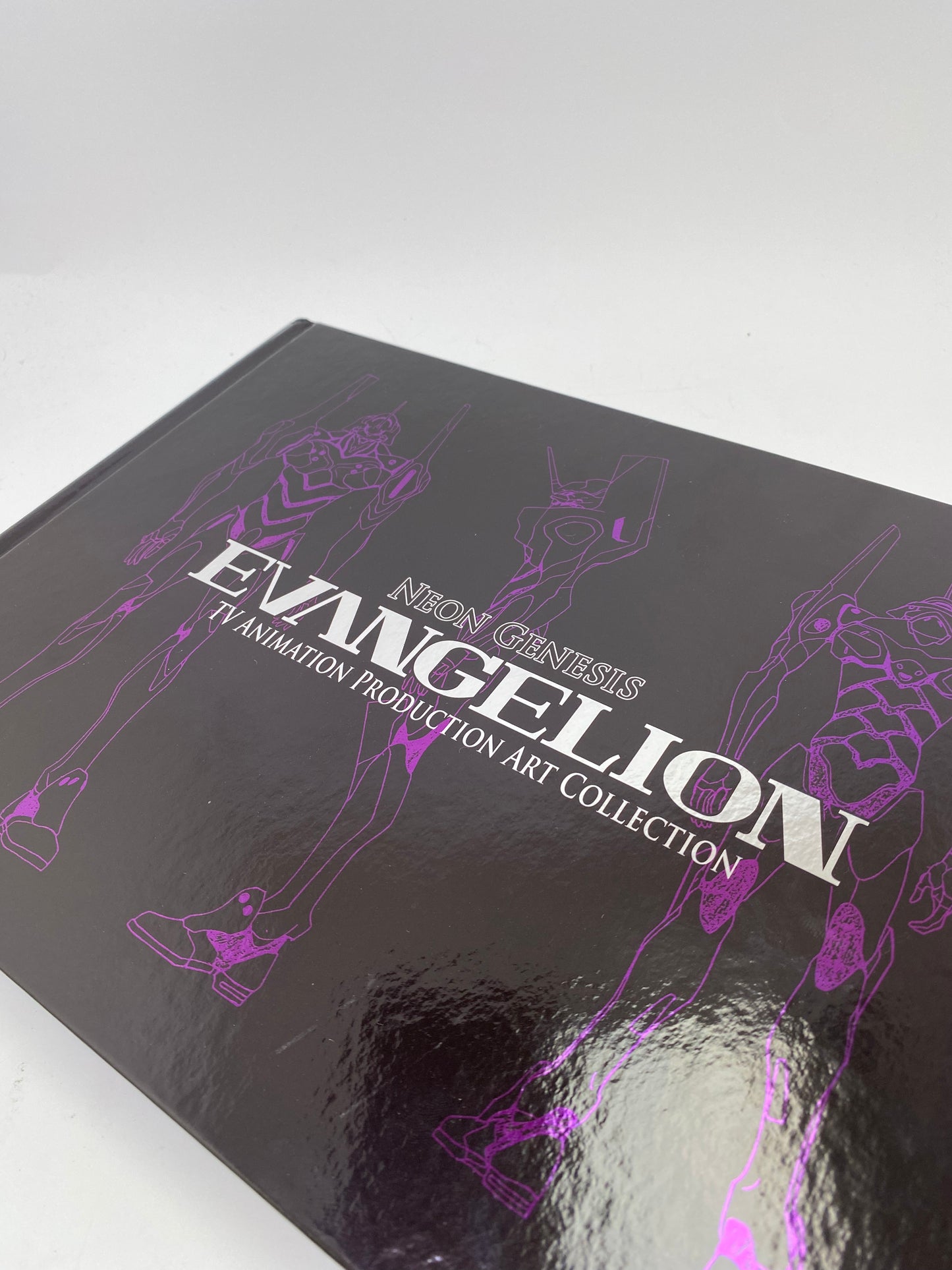 Neon Genesis Evangelion: TV Animation Production Art Collection - Meno knyga