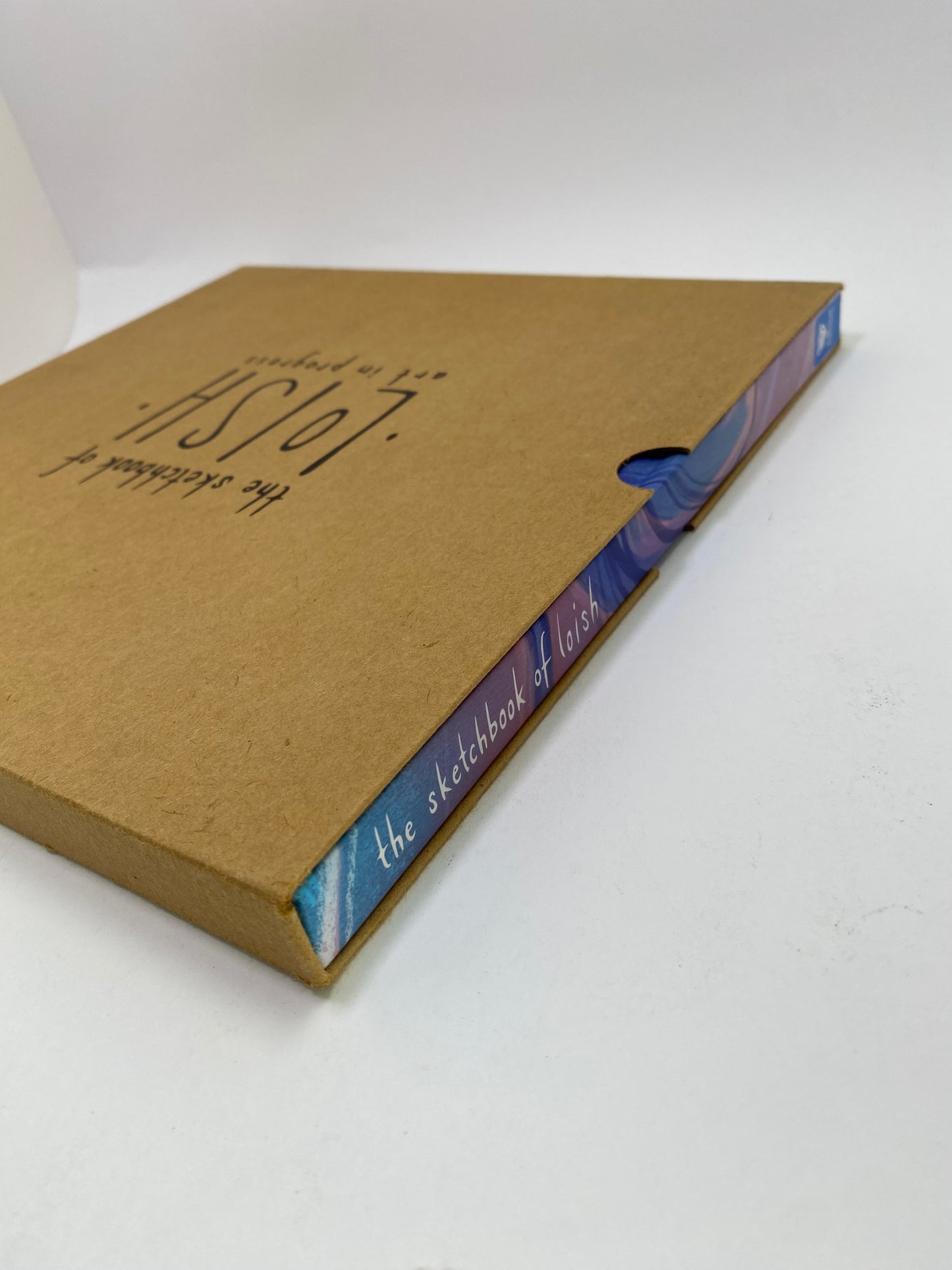 The Sketchbook of Loish: Art in Progress - Meno knyga
