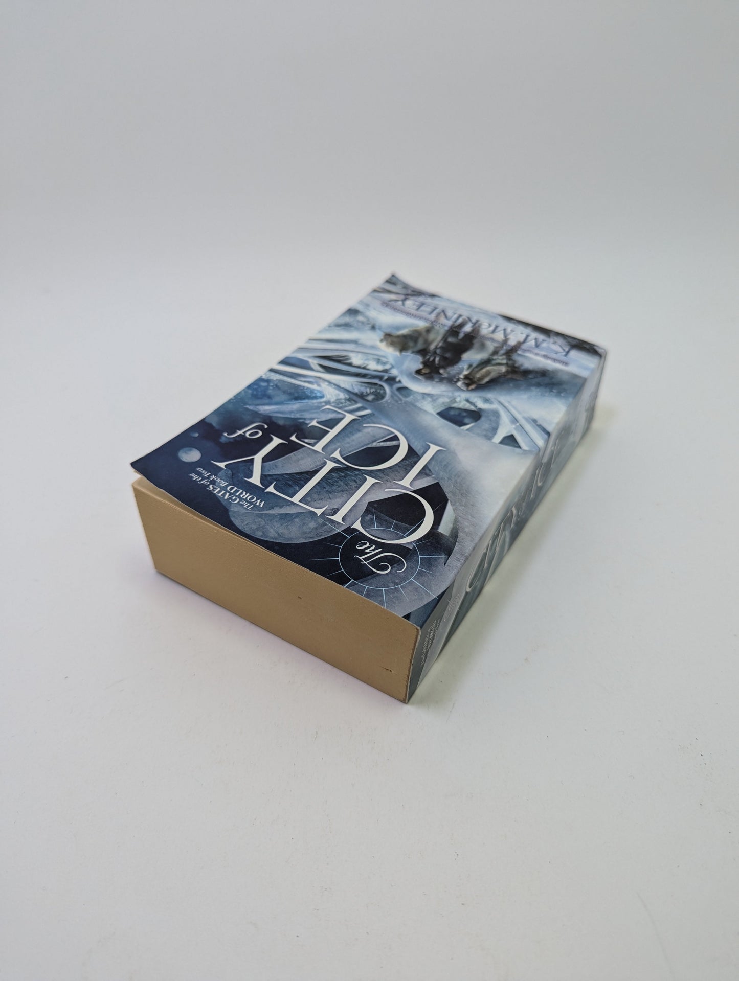 The City of Ice - K. M. McKinley - Knyga (anglų kalba) TreasureHunt