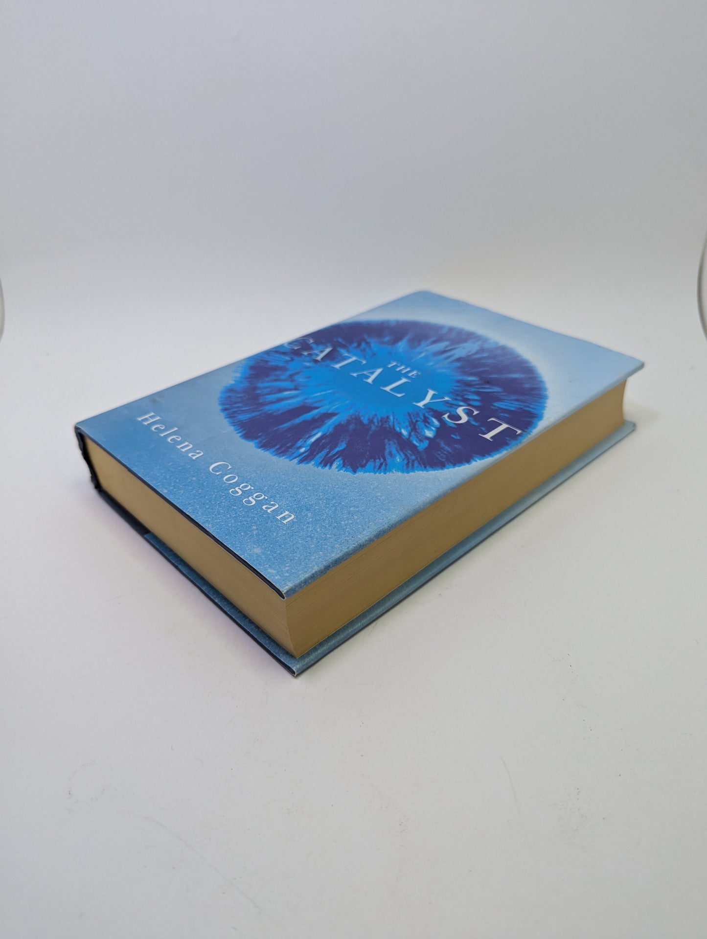 The Catalyst - Helena Coggan - Knyga (anglų kalba) TreasureHunt