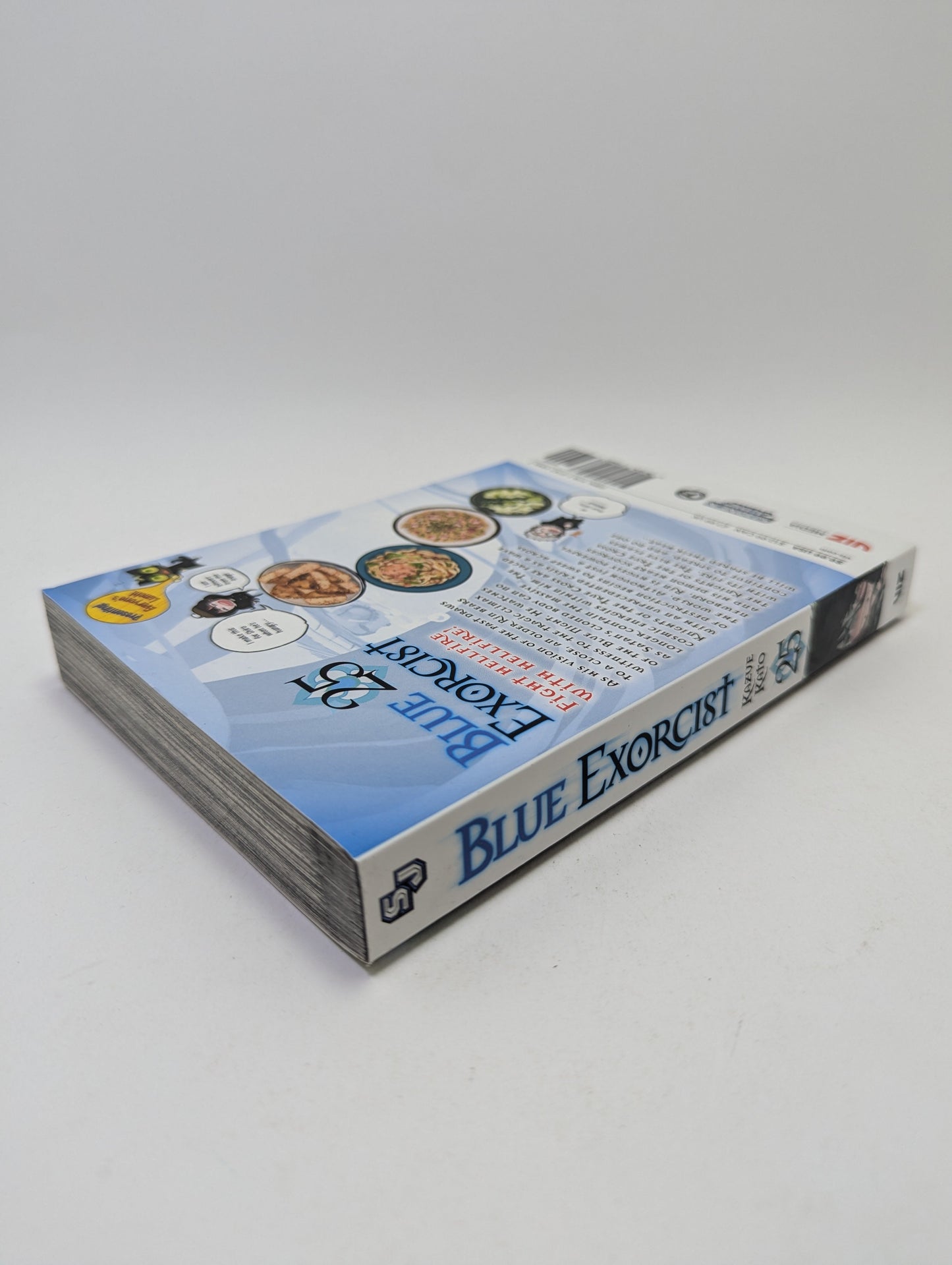 Blue Exorcist Vol. 25 - Manga (anglų kalba) TreasureHunt