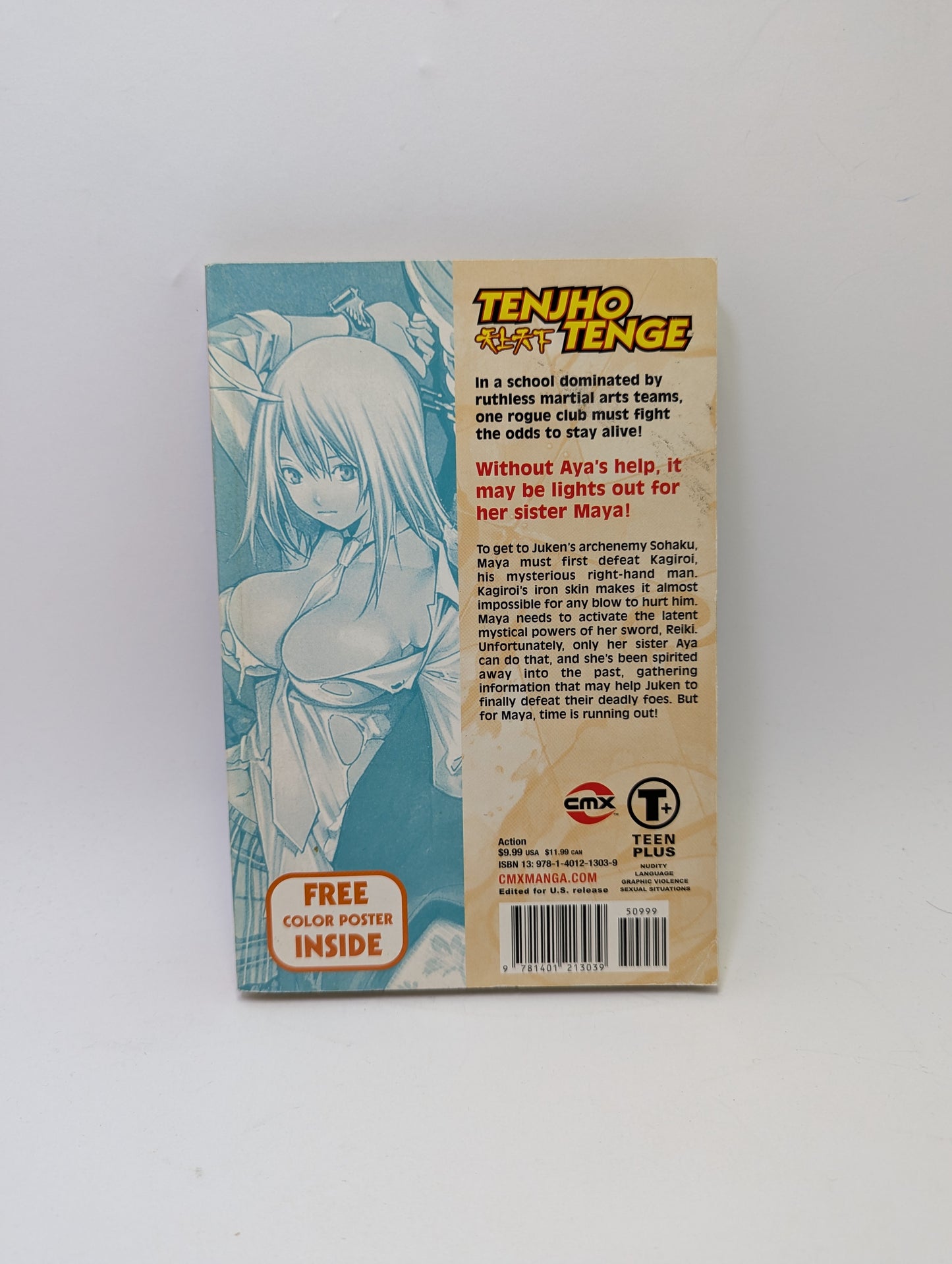 Tenjho Tenge, Vol. 14 - Manga (anglų kalba)