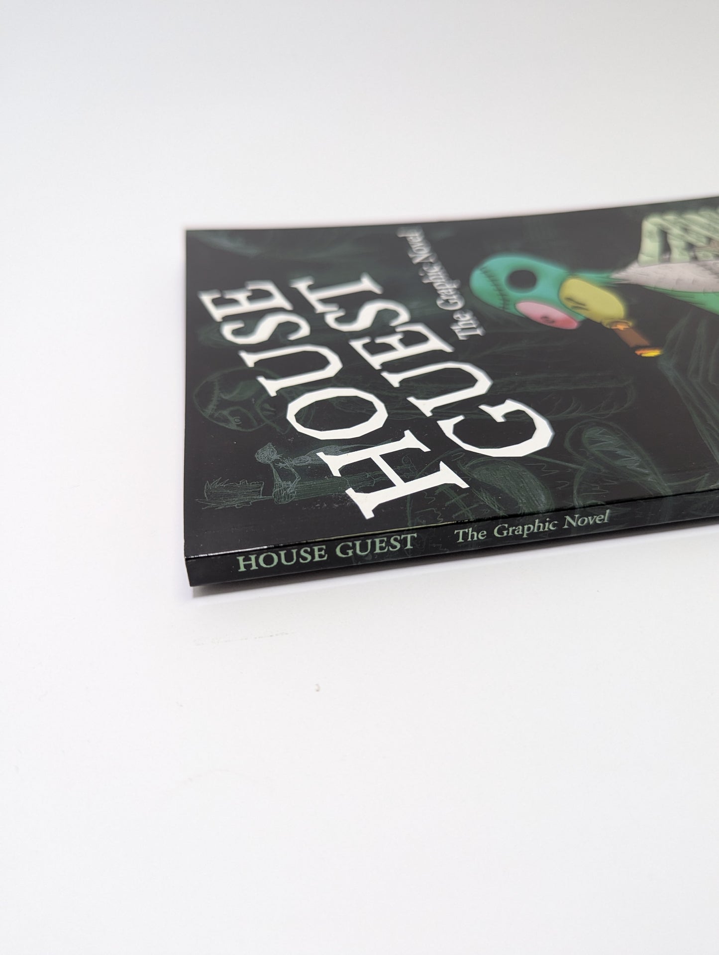 House Guest: The Graphic Novel - Graphic novel (English)