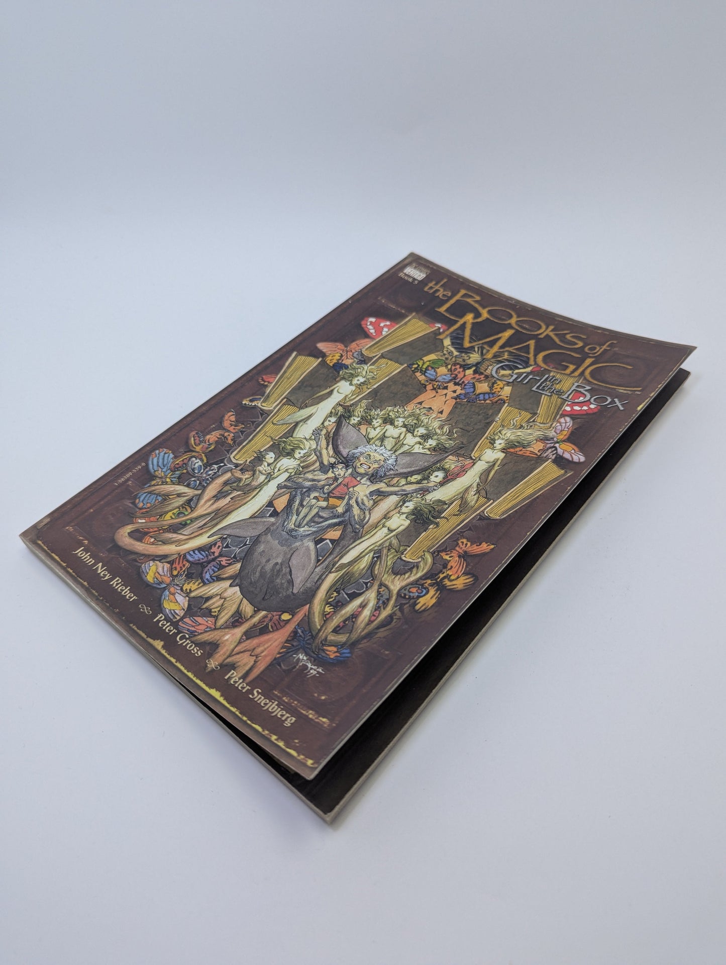 The Books of Magic: Girl in the Box, Vol. 5 – Grafinė novelė (anglų kalba) TreasureHunt