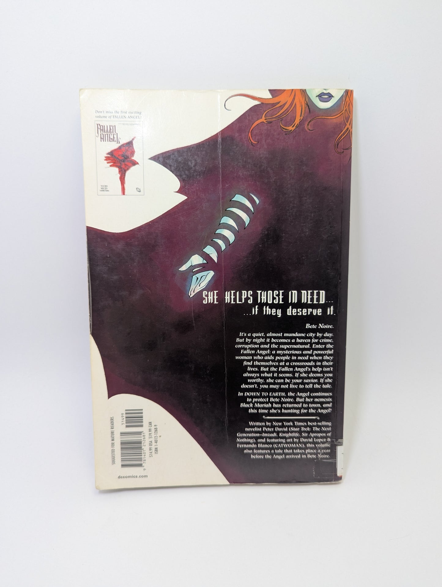 Fallen Angel: Down To Earth, Vol. 2 – Graphic Novel (English)