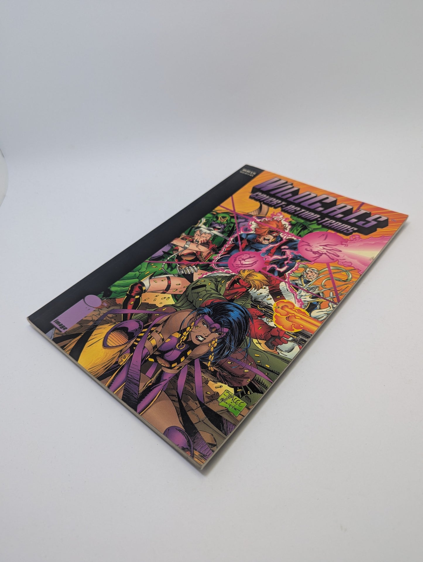 Wild Cats: Compendium – Grafinė novelė (anglų kalba) TreasureHunt