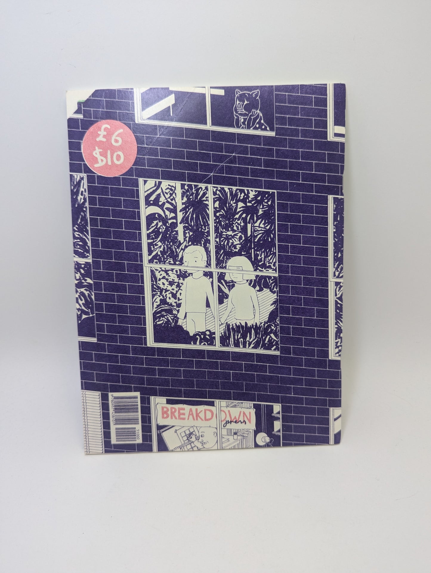 Windowpane – Graphic novel (English)