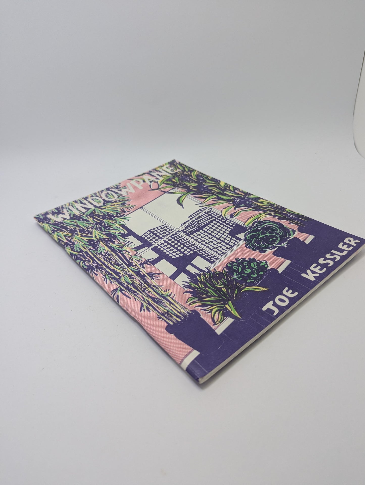 Windowpane – Graphic novel (English)