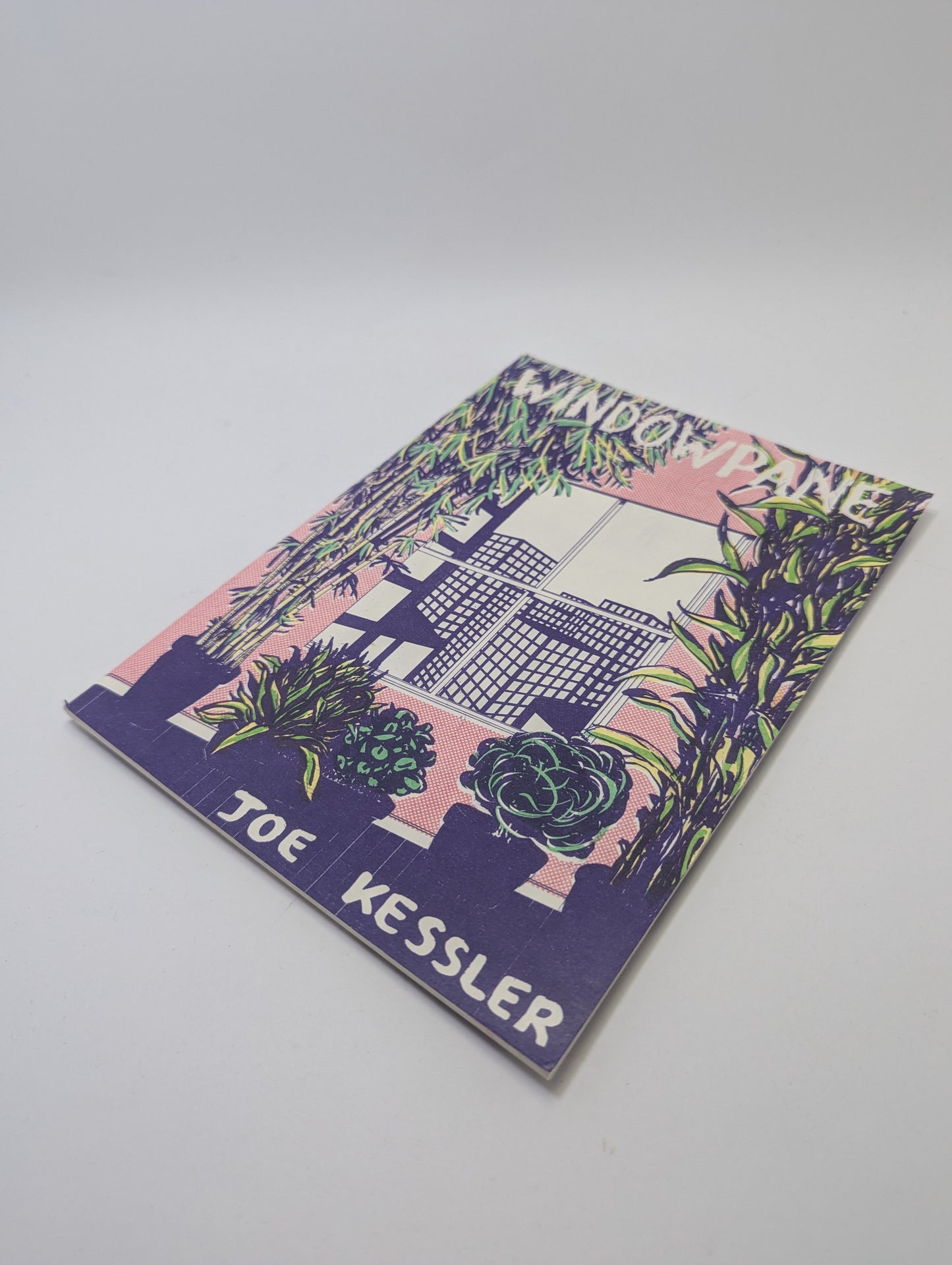 Windowpane – Graphic novel (English)