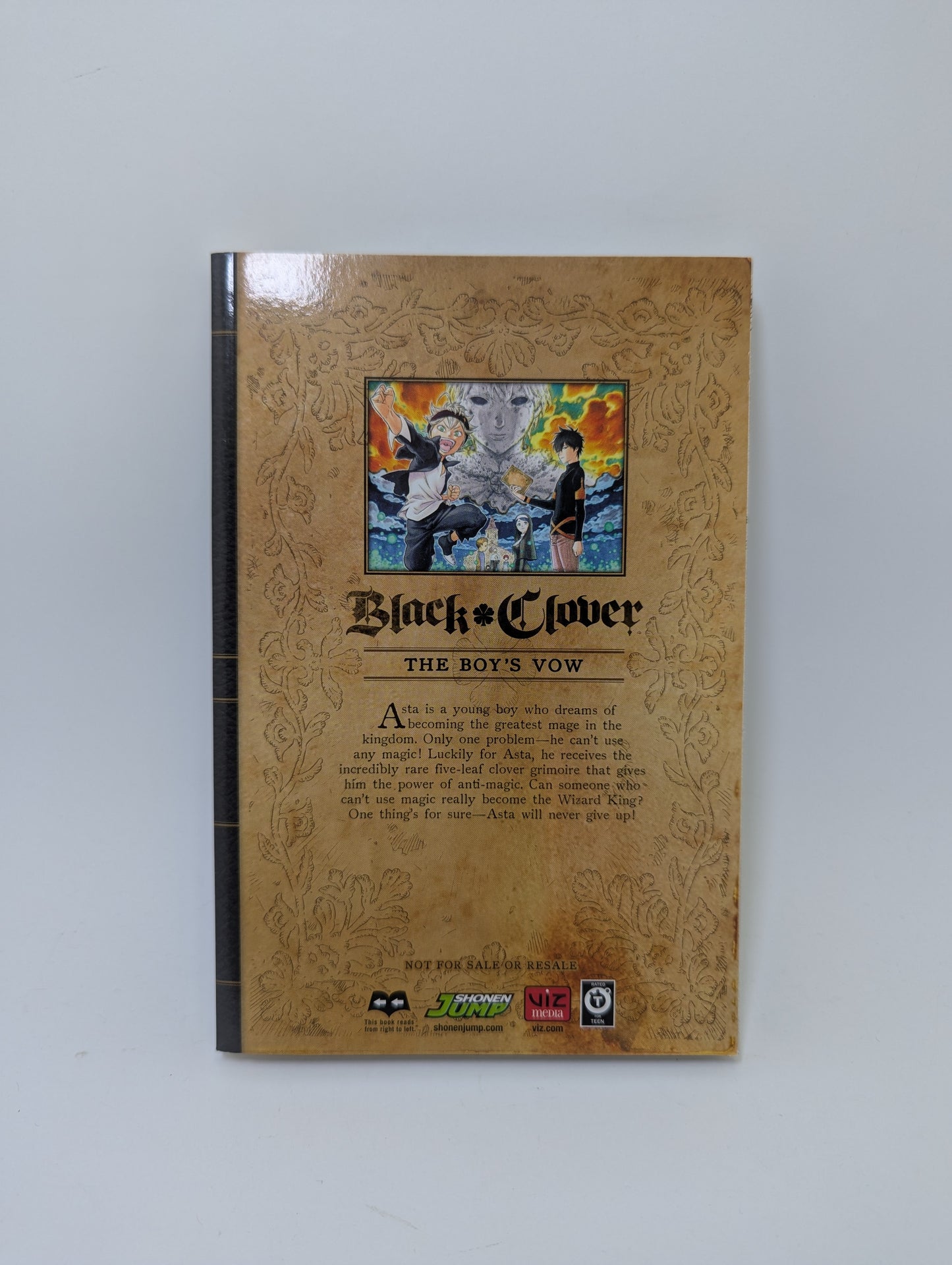 Black Clover, Vol. 1 - Manga