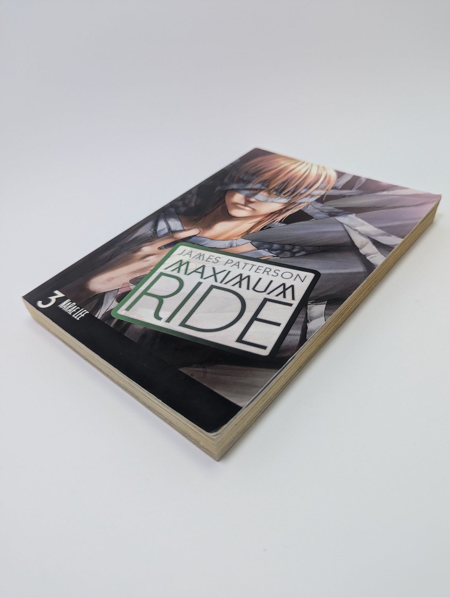 Maximum Ride, Vol. 3 - Grafinė Novelė TreasureHunt