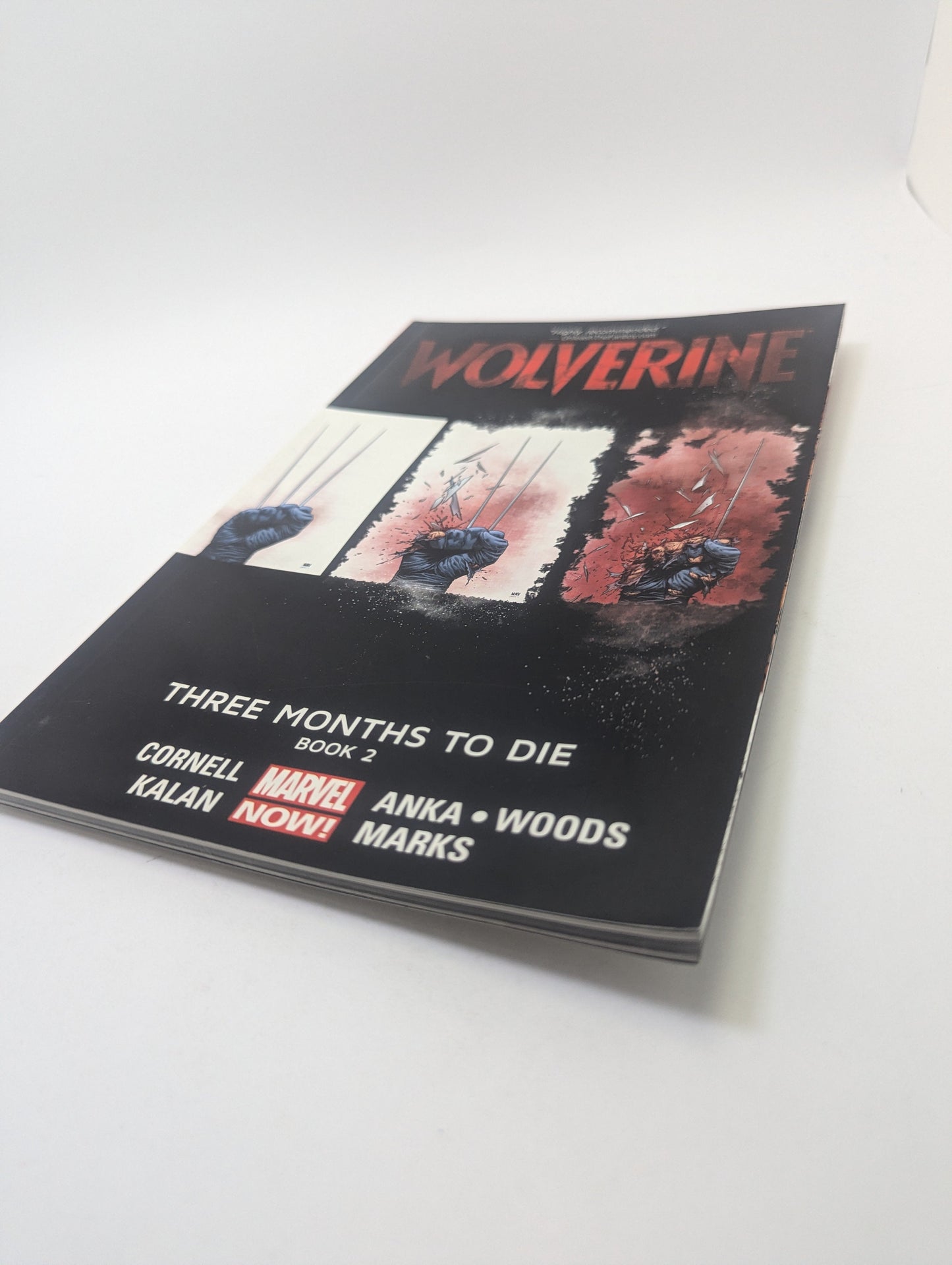 Wolverine: Three Months to Die, Book 2 - Grafinė novelė TreasureHunt