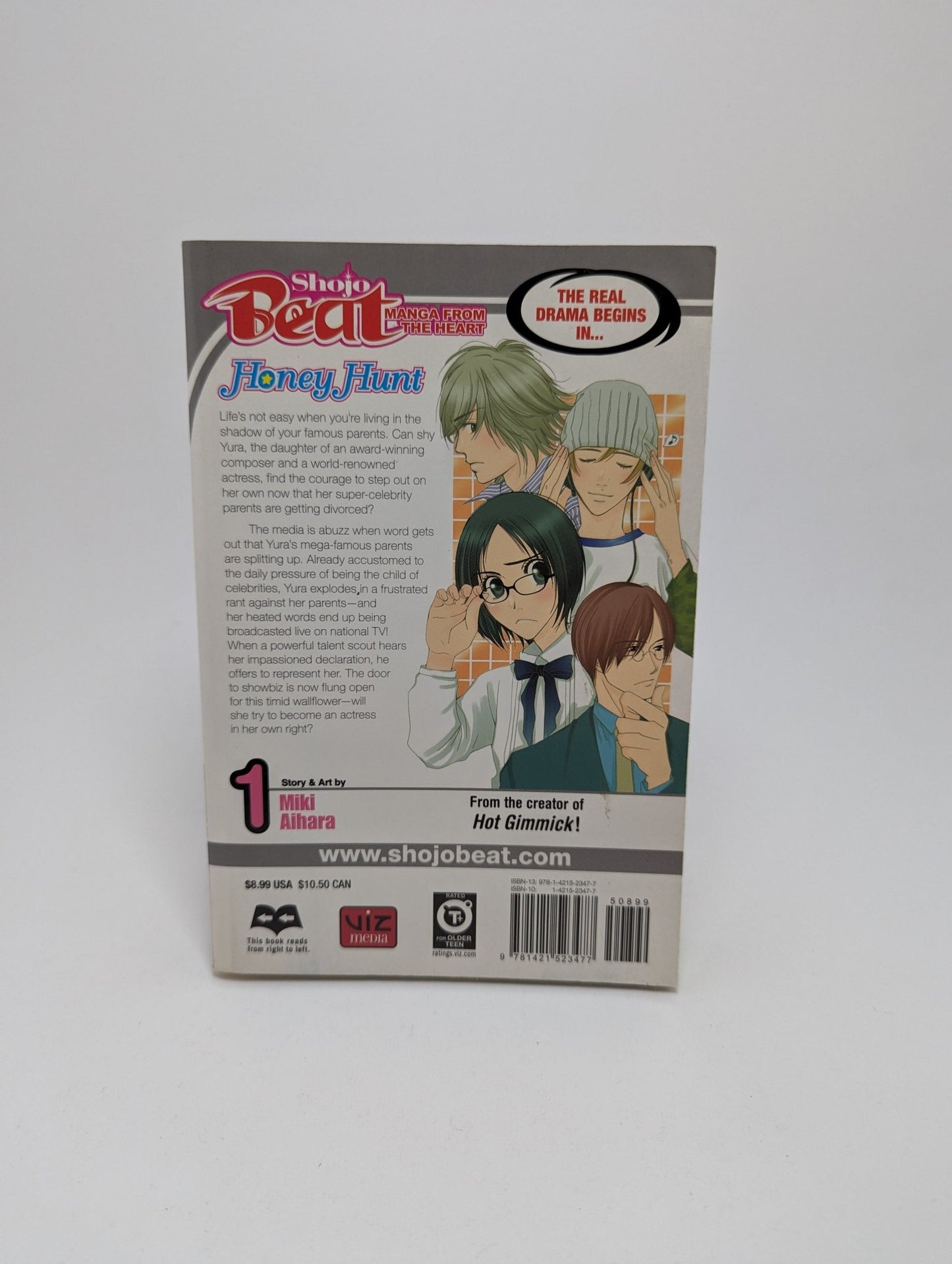 Honey Hunt, Vol. 1 - Manga (anglų kalba) - TreasureHunt