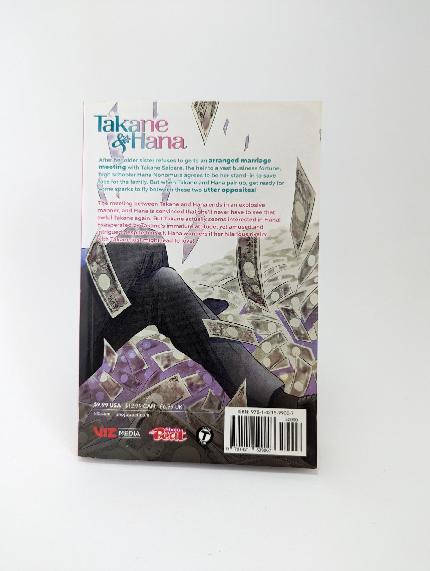 Takane & Hana Vol. 1 - Manga (anglų kalba) - TreasureHunt