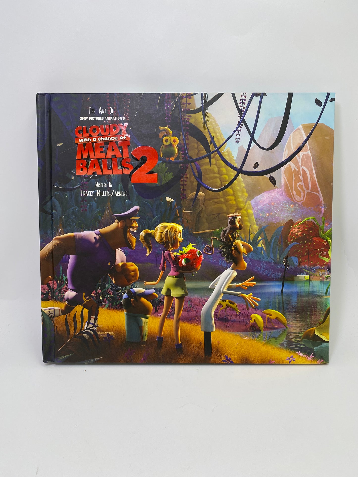 The Art of Cloudy with a Chance of Meatballs 2 meno knyga, dailės albumas, Ramin Zahed.