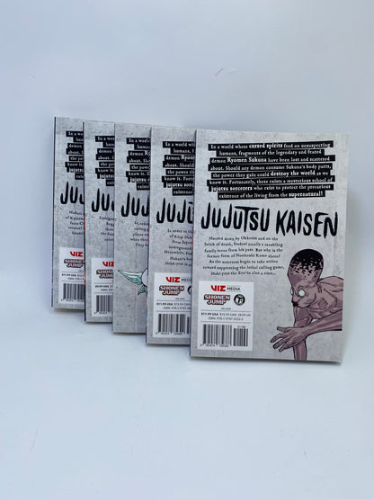 Jujutsu Kaisen, Vol. 17–21 – Manga rinkinys (anglų kalba)