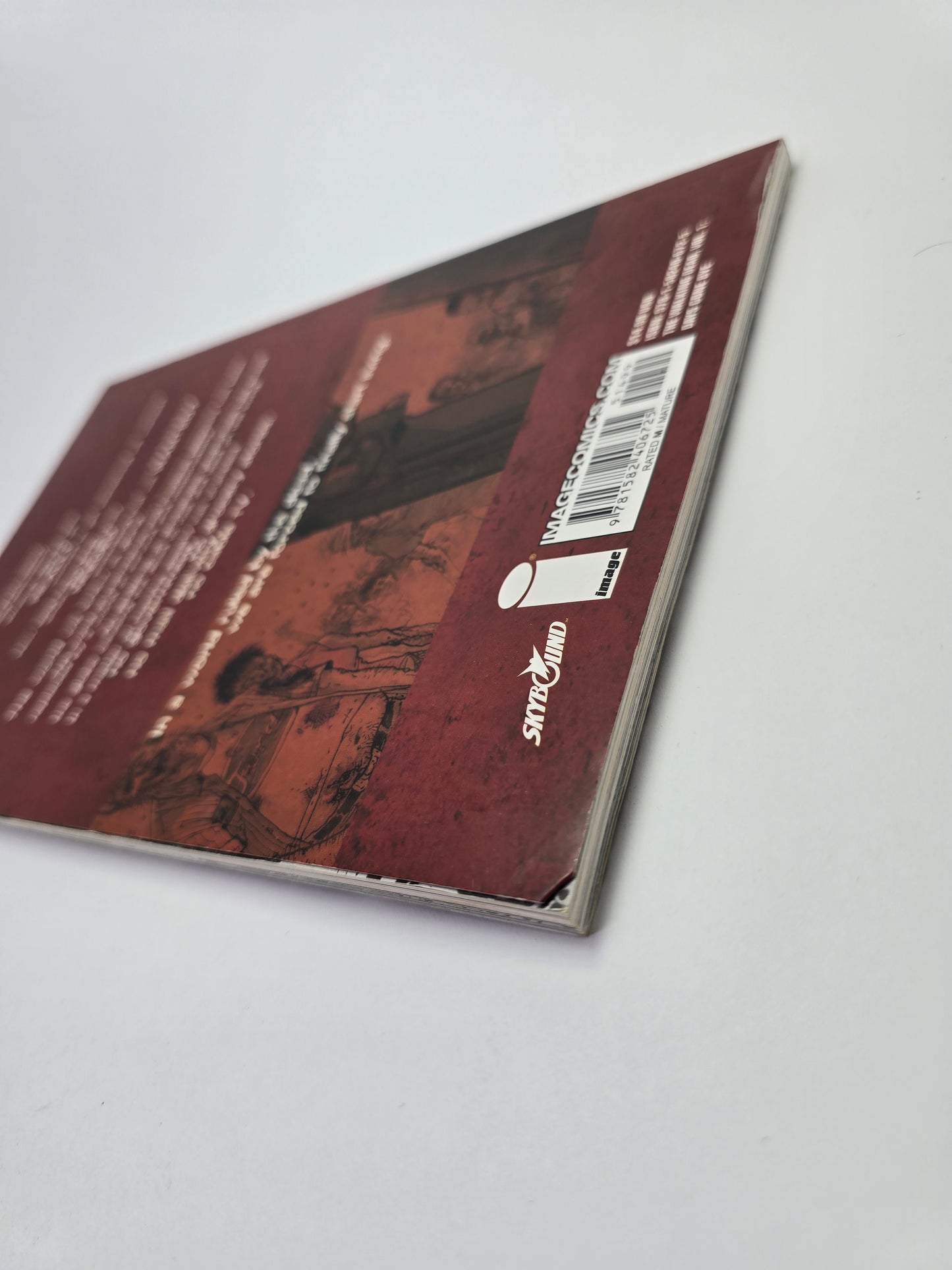 The Walking Dead, Vol. 1 – Grafinė novelė (anglų kalba)