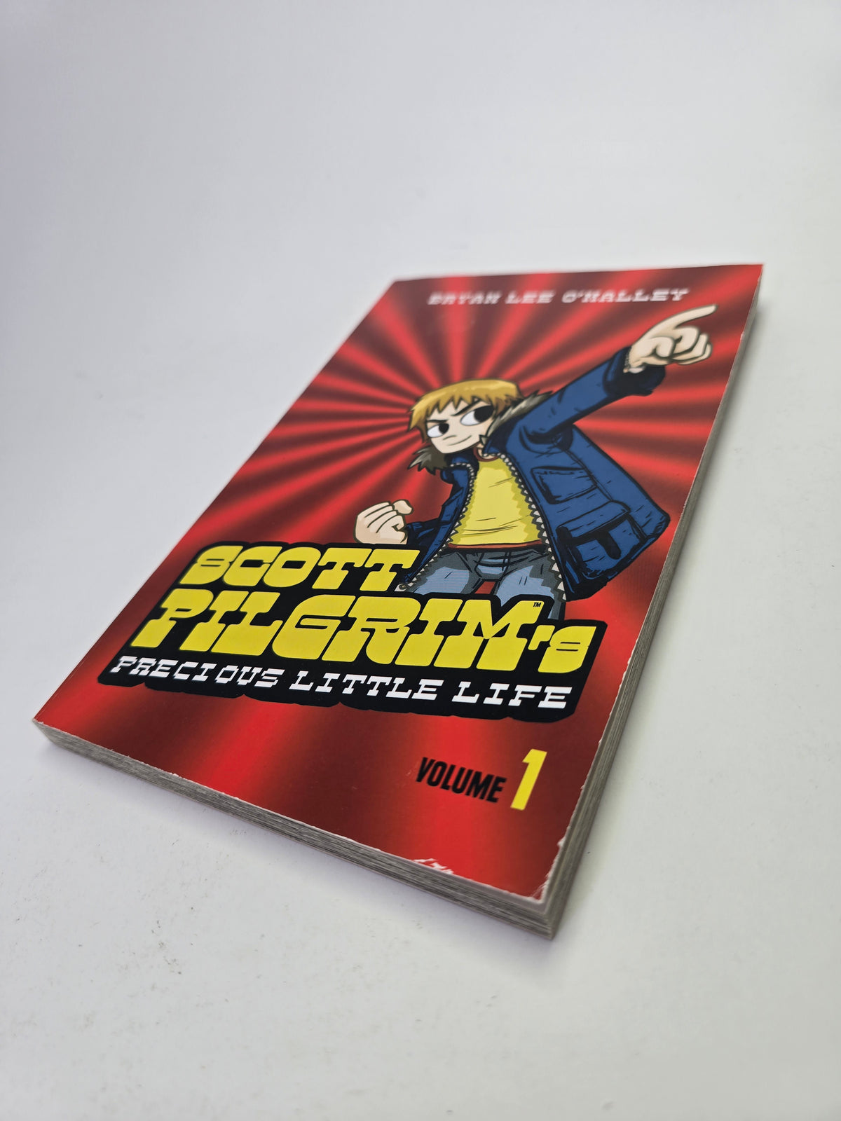 Scott Pilgrim, Vol. 1 – Grafinė novelė
