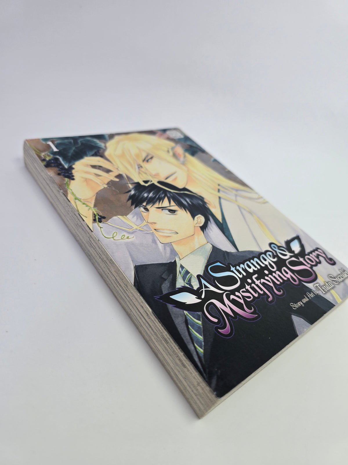 A Strange & Mystifying Story, Vol. 1 – Manga