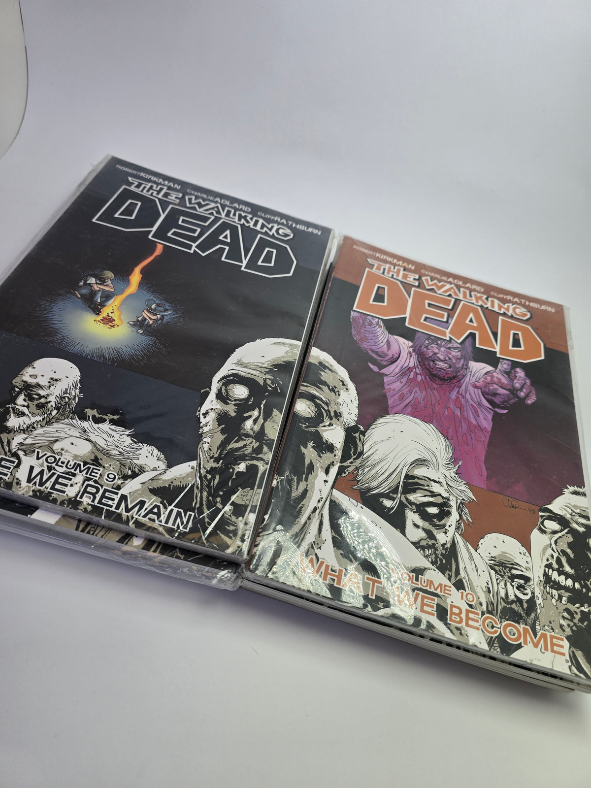 The Walking Dead, Vol. 1–10 – Grafinių novelių rinkinys