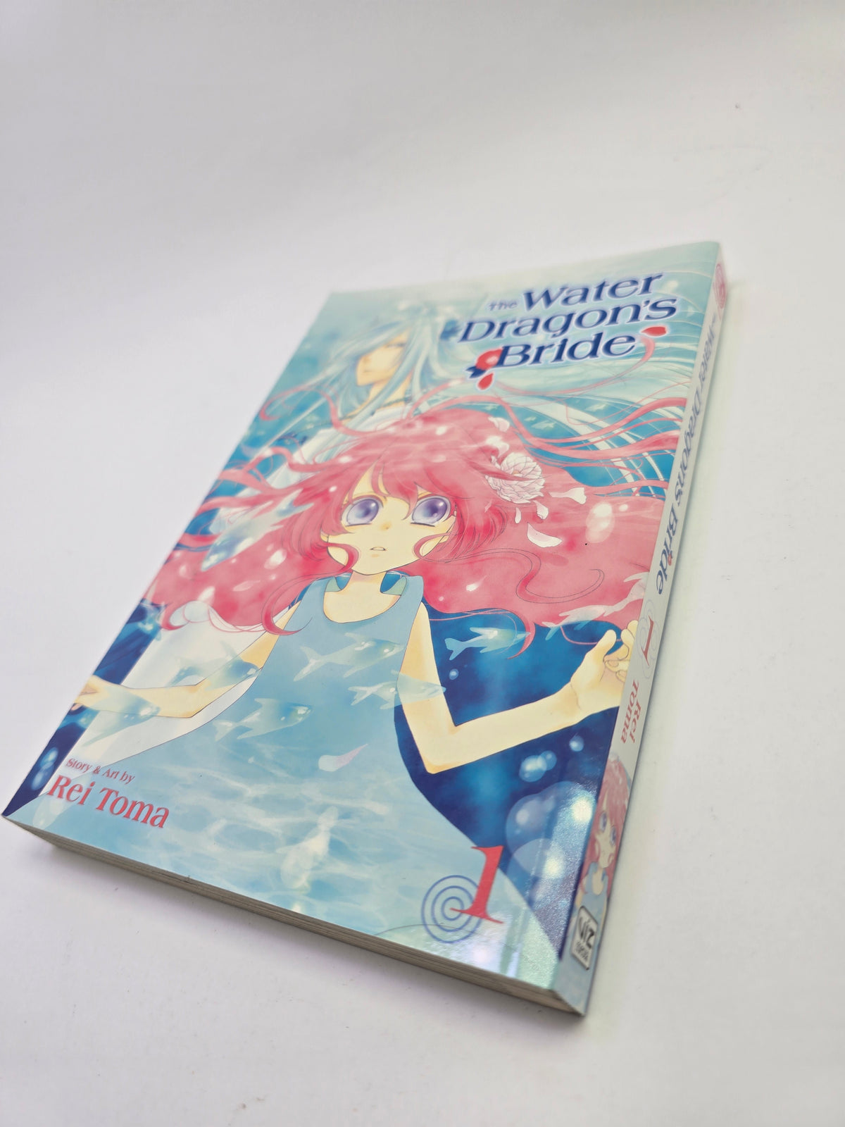 The Water Dragon's Bride Vol. 1 – Manga