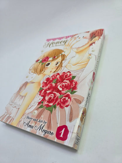Honey So Sweet Vol. 1 – Manga