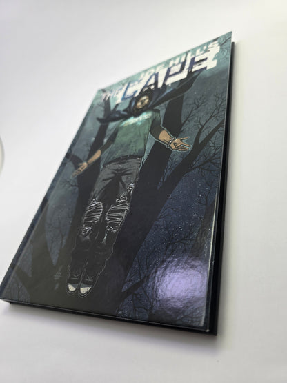 Joe Hill’s The Cape – Grafinė novelė