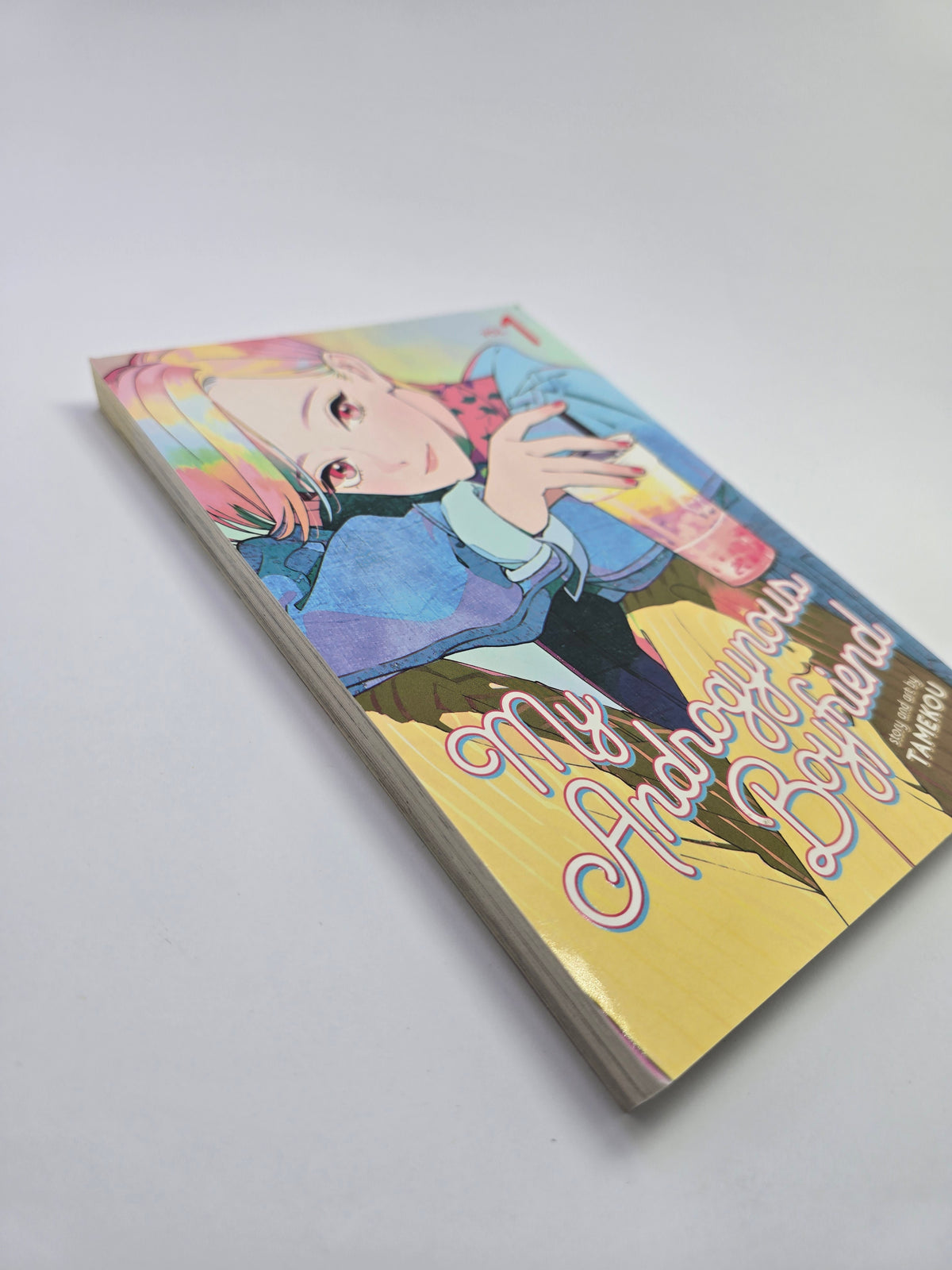 My Androgynous Boyfriend Vol. 1 – Manga