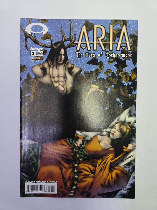 Aria: The Uses of Enchantment #2 Image Comics komikso viršelis su Jay Anacleto iliustracija