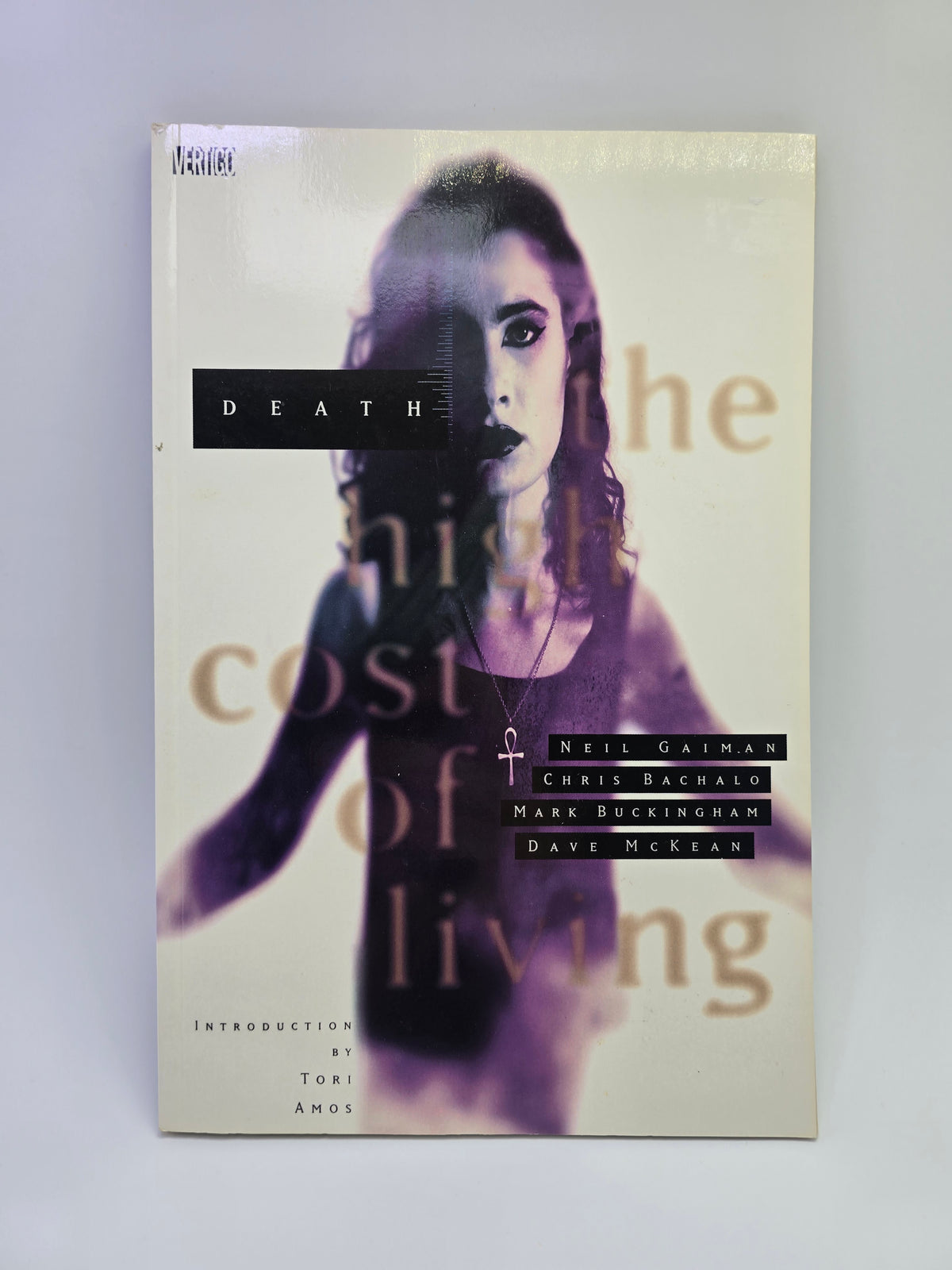 Death The High Cost of Living Neil Gaiman Vertigo grafine novele anglu kalba