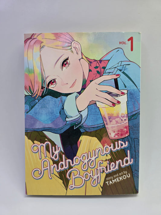 My Androgynous Boyfriend Vol 1 Tamekoku manga knyga anglu kalba