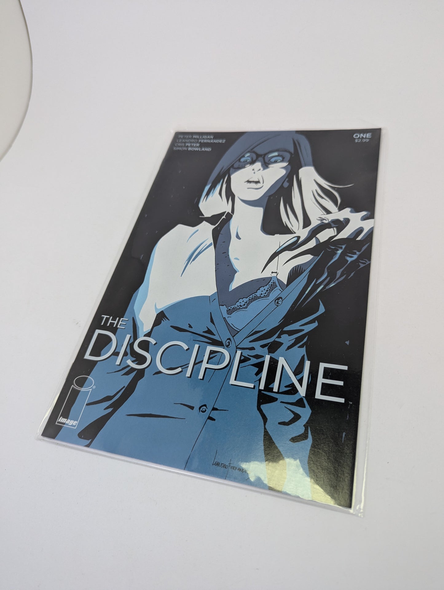 The Discipline #1 - Komiksas
