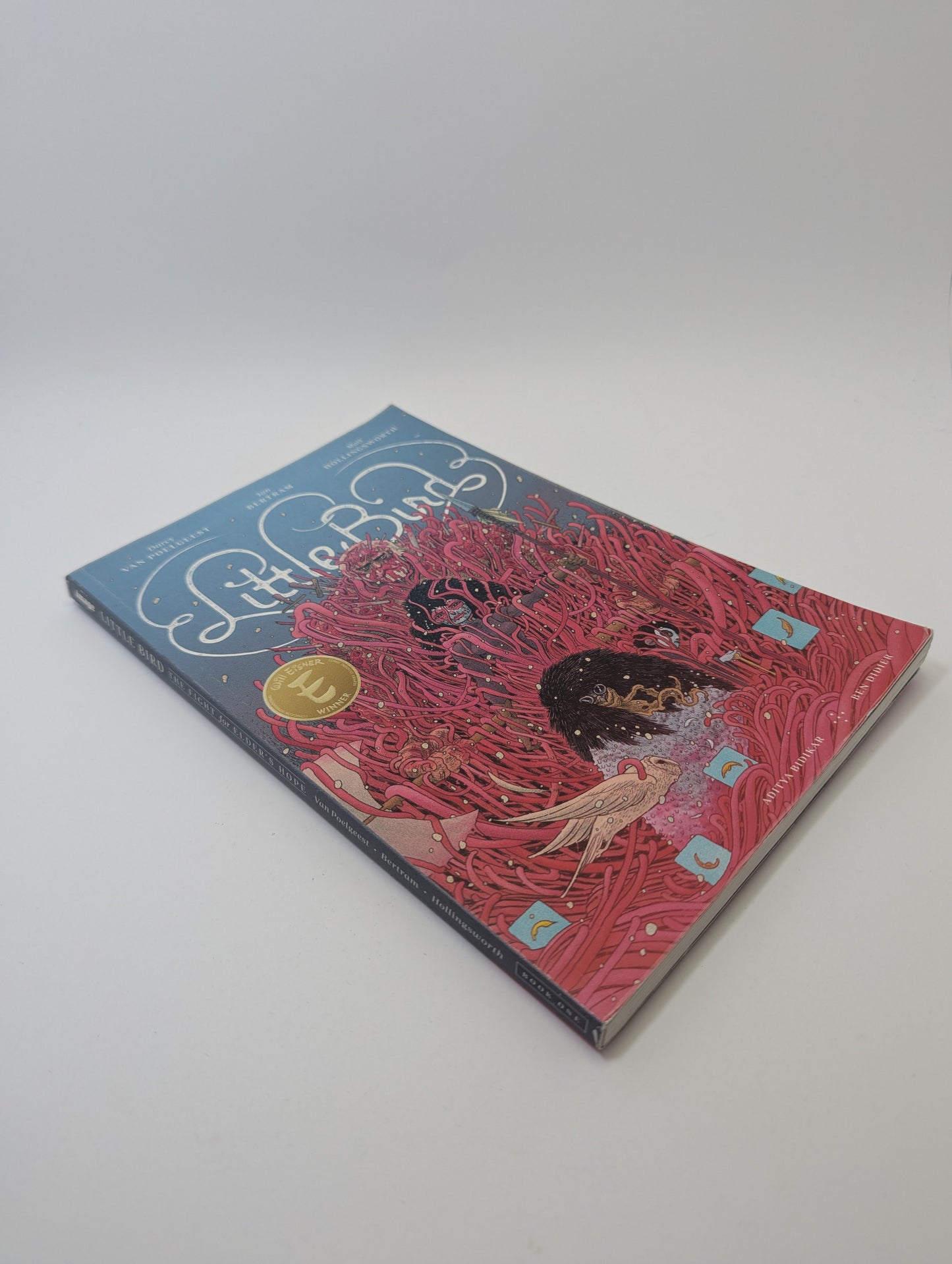 Little Bird: The Fight for Elder's Hope – Graphic Novel (English)