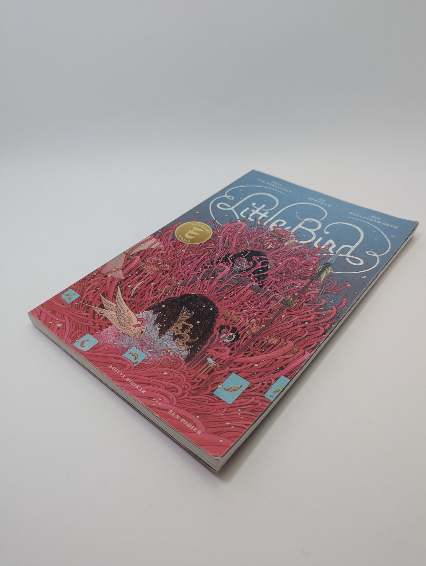 Little Bird: The Fight for Elder's Hope – Graphic Novel (English)
