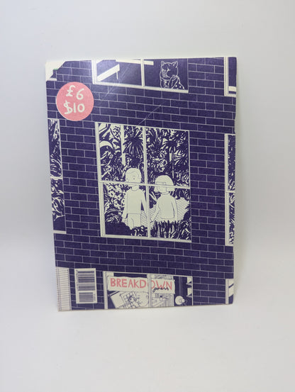 Windowpane – Graphic novel (English)