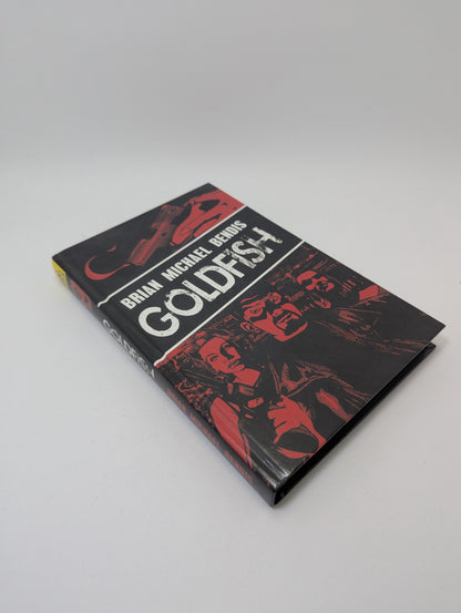 Goldfish – Graphic novel (English)
