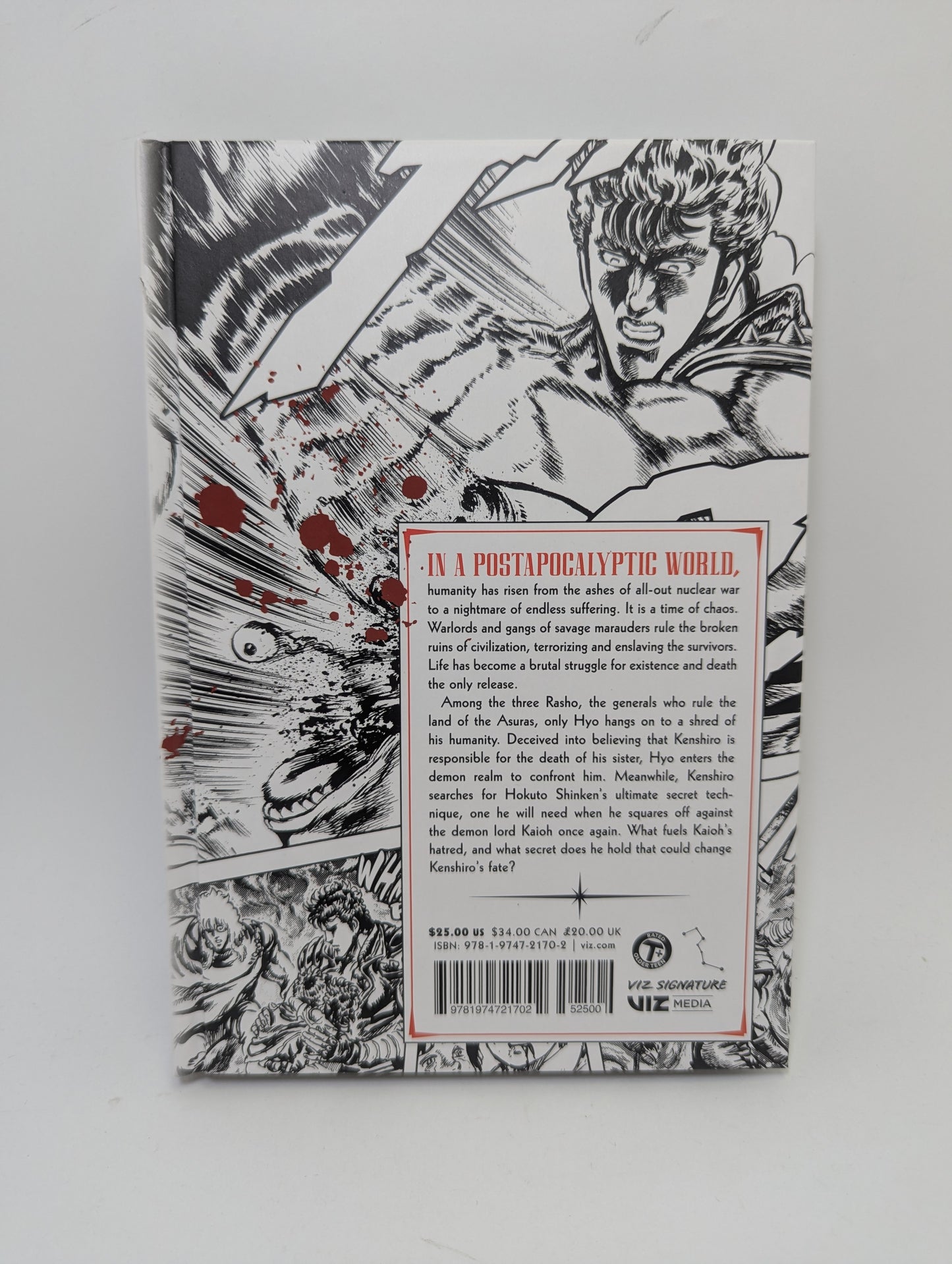Fist of the North Star, Vol. 15 - Manga