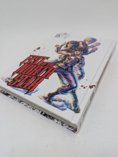 Fist of the North Star, Vol. 15 - Manga