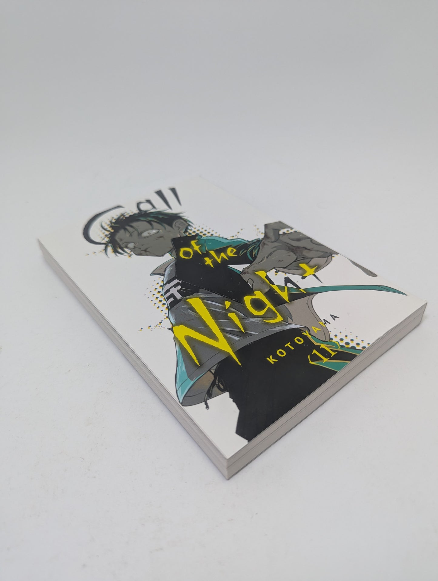 Call of the Night, Vol. 11 - Manga