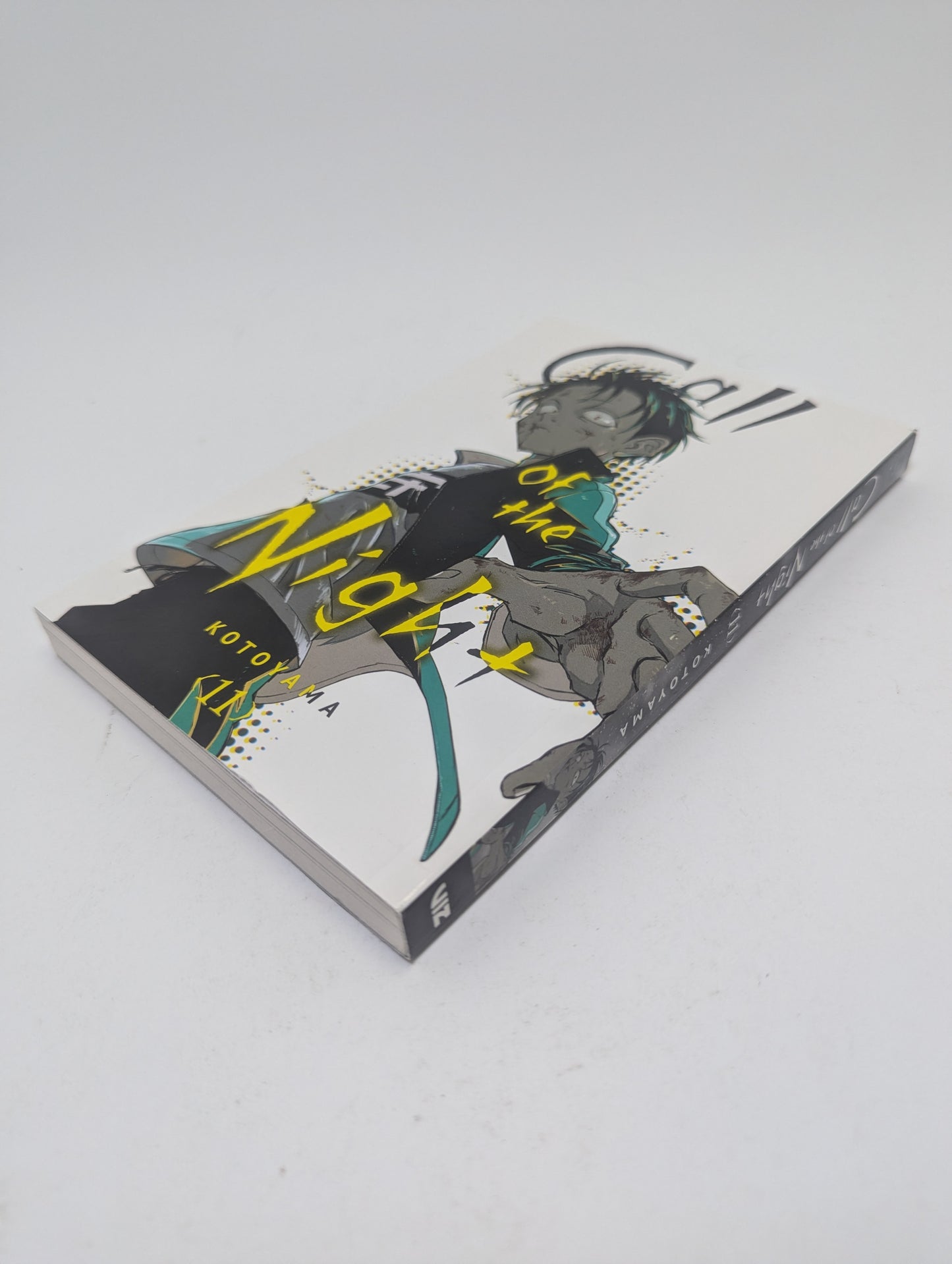 Call of the Night, Vol. 11 - Manga