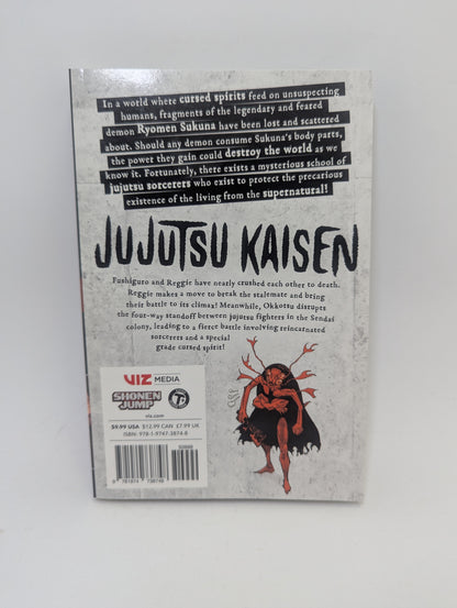Jujutsu Kaisen, Vol. 20 - Manga