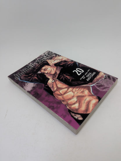 Jujutsu Kaisen, Vol. 20 - Manga