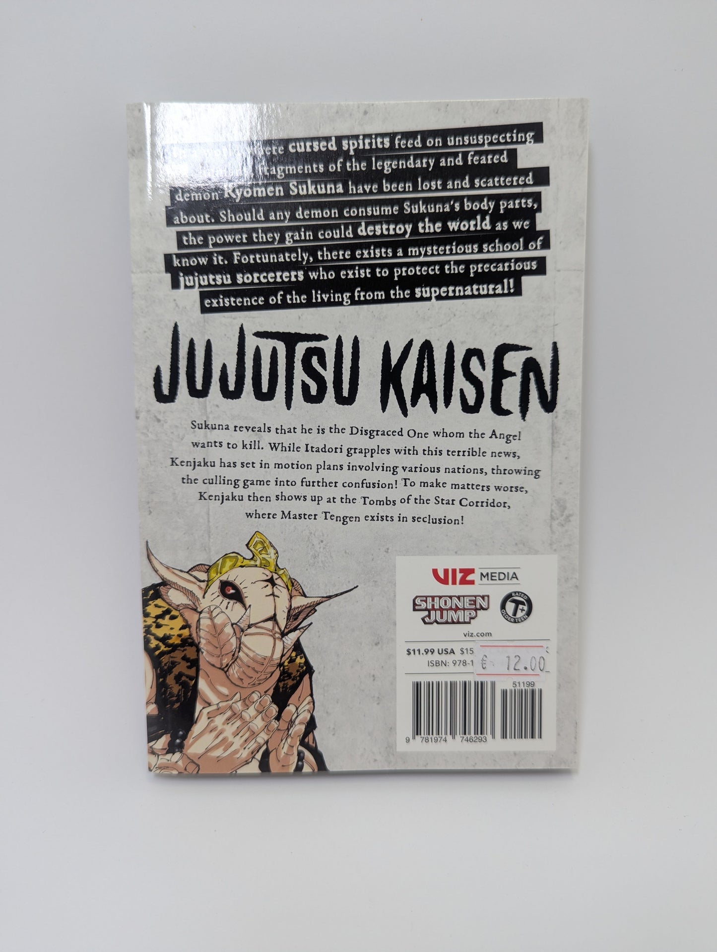 Jujutsu Kaisen, Vol. 23 - Manga
