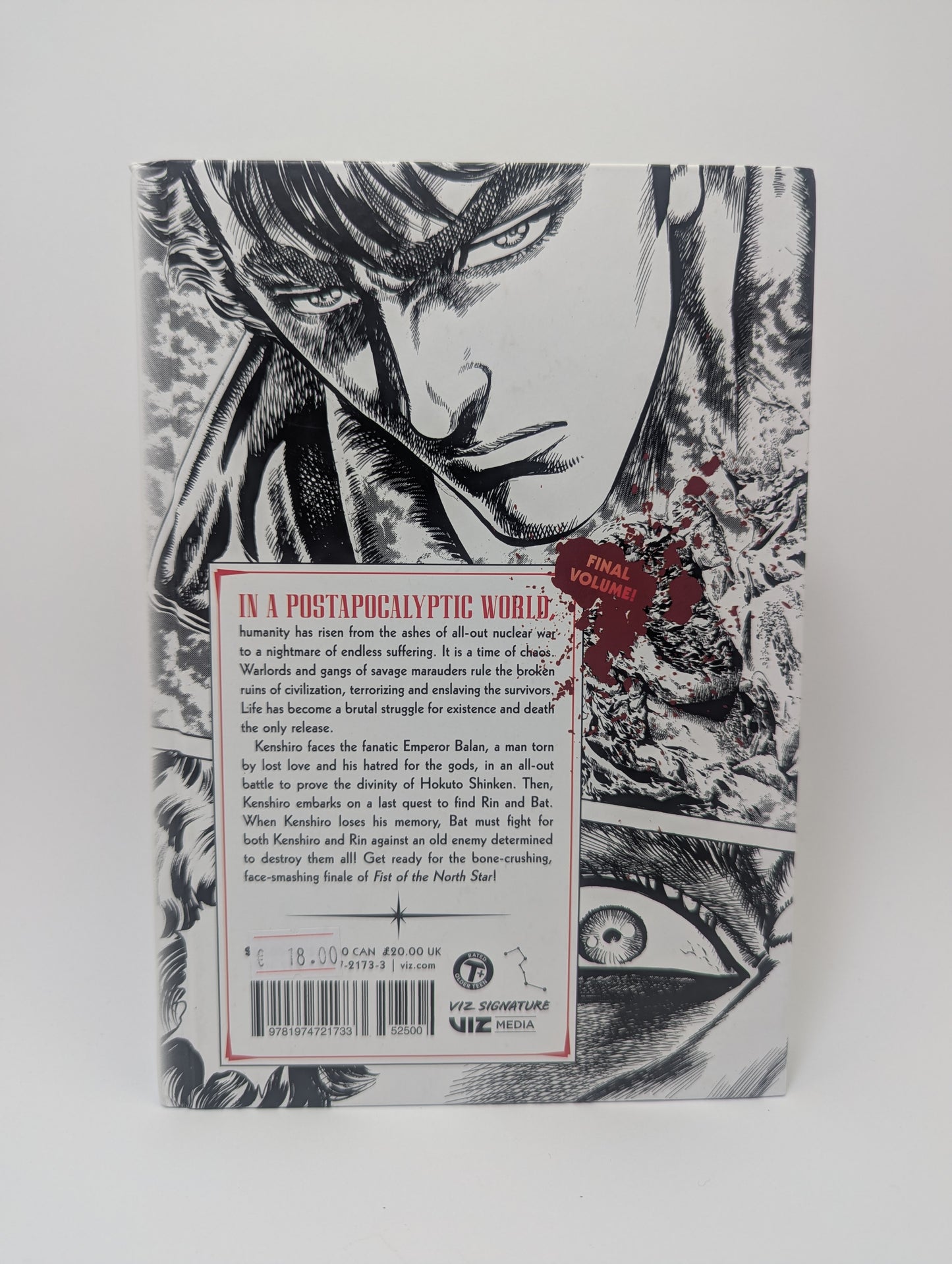 Fist of the North Star, Vol. 18 – Manga