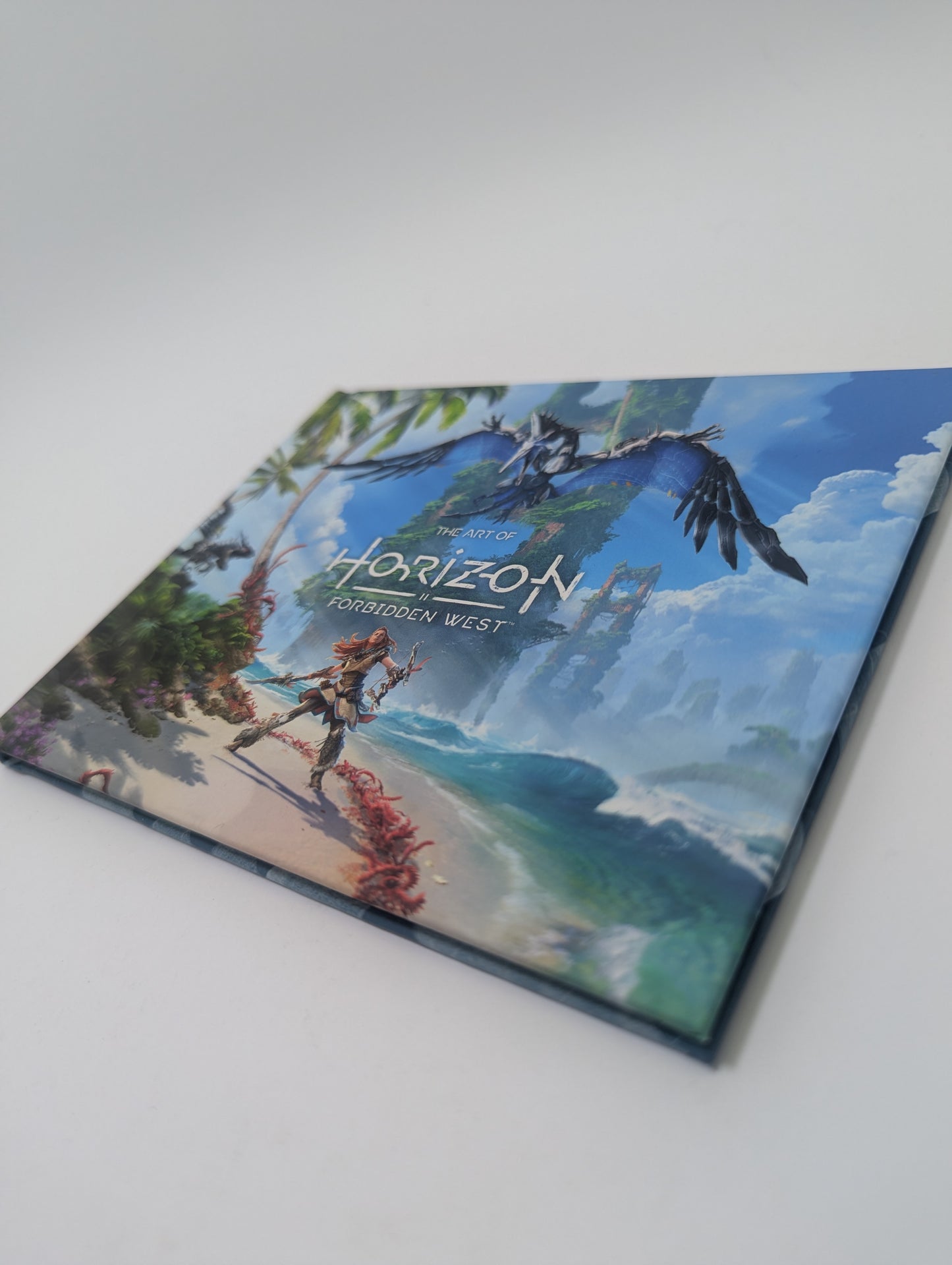 The Art of Horizon Forbidden West - Meno Knyga