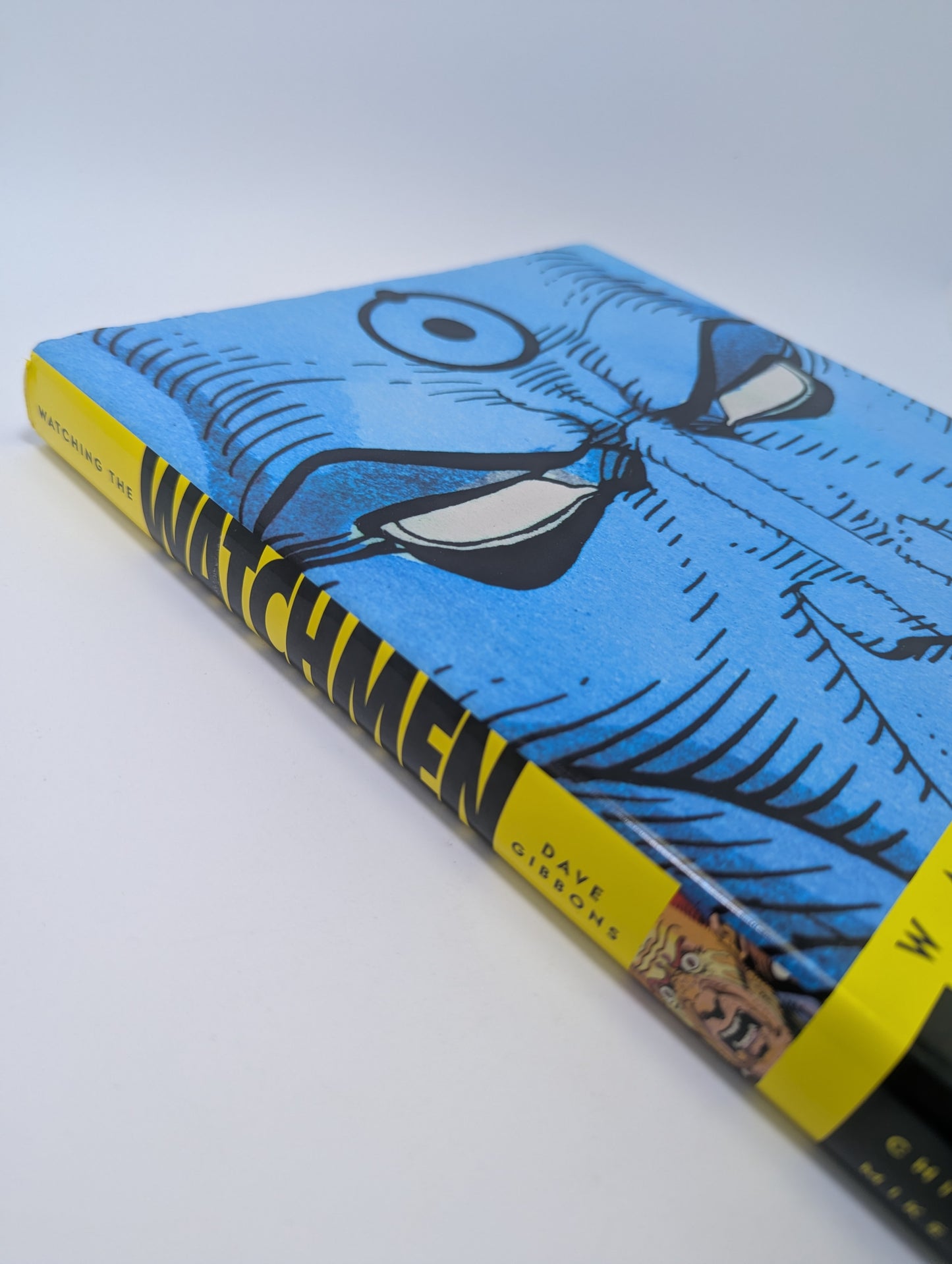 Watching the Watchmen: The Definitive Companion - Meno Knyga