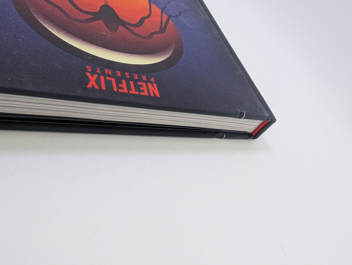 Visions from the Upside Down: Stranger Things – Meno knyga TreasureHunt