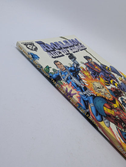 The Amalgam Age of Comics: The Marvel Comics Collection - Grafinė novelė TreasureHunt